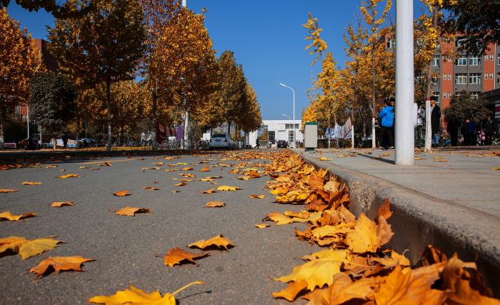 未清扫的校园路面