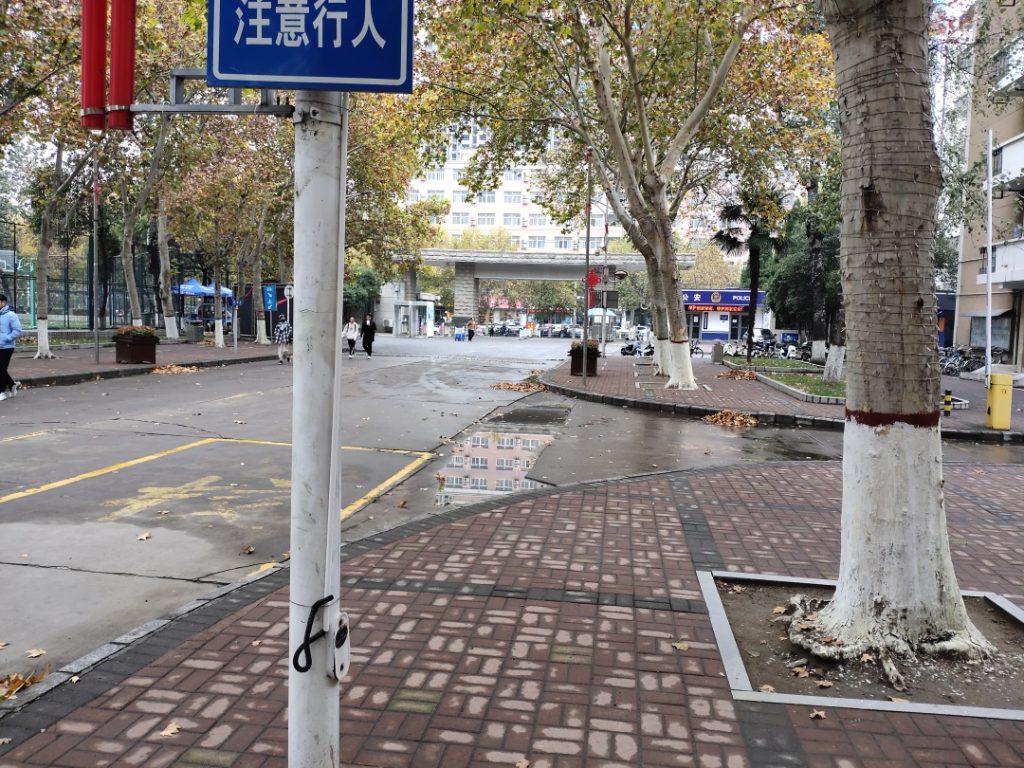 落叶后的校园路面1